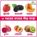 Superb Quality - 6 type of fruit seeds combo pack. 30+ seeds total + gift item. 