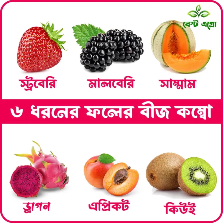 Superb%20Quality%20-%206%20type%20of%20fruit%20seeds%20combo%20pack.%2030+%20seeds%20total%20+%20gift%20item%20-%20Image%208