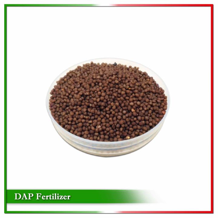 DAP%20(Di%20Ammonium%20Phosphate)%20Fertilizer%20-%201kg%20-%20Image%202