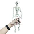 【Mary DAI Store】Car decoration spoof Active Human skeleton Model Anatomy Skeleton Skeleton Medical Learning Halloween Party Decoration Skeleton. 