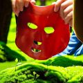 Reuseable Facial Mask Plate Machine Maker Clear Silicone Mask Mold Tray Mask Making DIY Tool Fruit Natural Vegetable Collagen.