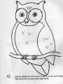 Time To Colour And Talk about Birds (Book 4). 