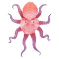 Squishyy Octopus Toys Anti Stress Squeeze Fidget Toy Decompression Play Set Soft Silicone Marine Animal Simulation Model For Kid.