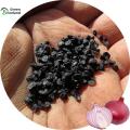 Red Onion Seeds(পেঁয়াজের বীজ) - 70 Pcs Seeds. 