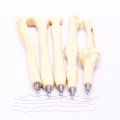 You 001 Different Styles Pen Bone Shape Ballpoint Pen New Creative School Office Stationery. 