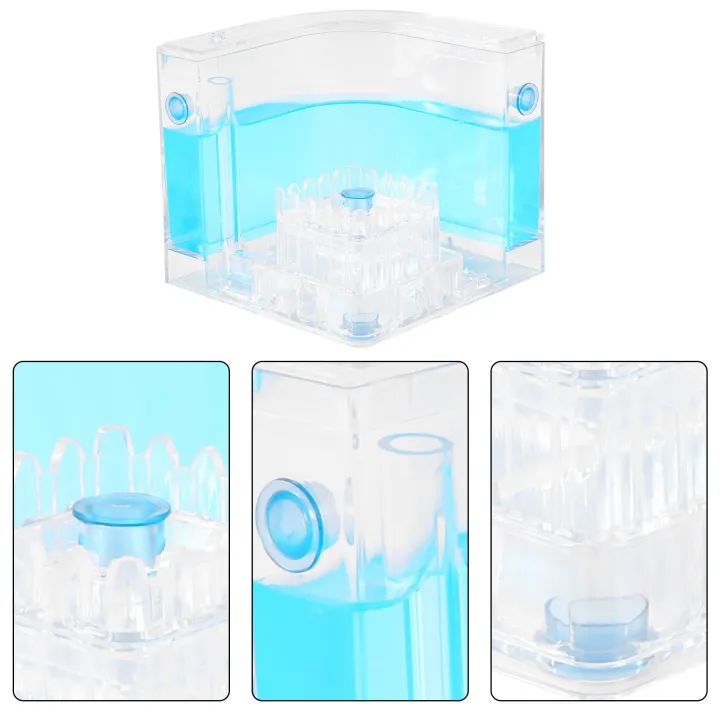 DIY%20Moisture%20with%20Feeding%20Area%20Ant%20Nest%20Ant%20Farm%20Ant%20Nests%20Villa%20Pet%20-%20Image%206