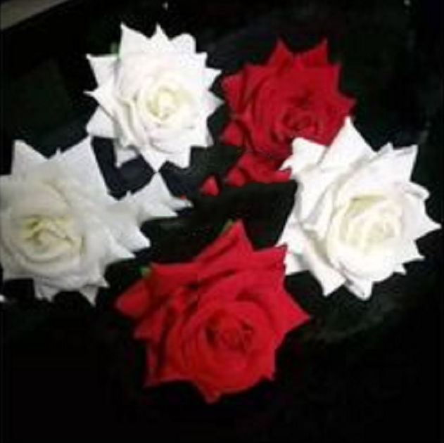 Artificial%20flower%20Rose%20boddy%20pins%20white%201pis%20-%20Image%203