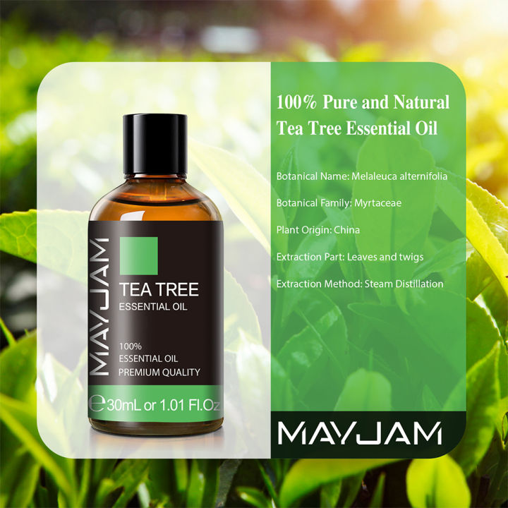 MAJYAM%2030ml%20Pure%20Natural%20Tea%20Tree%20Essential%20Oils%20Diffuser%20Aromatic%20Oil%20Eucalyptus%20Mint%20Lemon%20Rosemary%20Cinnamon%20Lemongrass%20Oil%20-%20Image%202