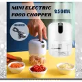 Mini USB Charging Electric Garlic Chopper Grinder.