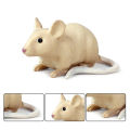 （New）Realitic Moue Rat Opoum Animal Model Figure Dek Decor Education Kid Toy. 