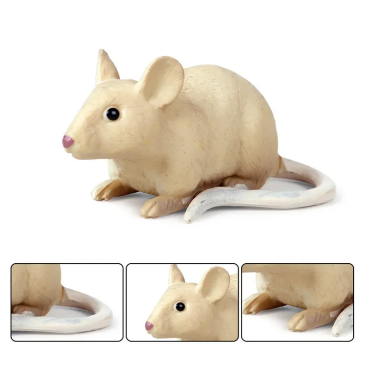 %EF%BC%88New%EF%BC%89Realitic%20Moue%20Rat%20Opoum%20Animal%20Model%20Figure%20Dek%20Decor%20Education%20Kid%20Toy%20-%20Image%205