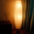 Rice Paper Floor Lamp Creative Tall Lamp Lights Living Only Lampshade. 