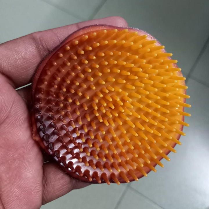 ROUND POCKET Plastic Hair Combs Shampoo Brush Massage Deep Cleaning Scalp Dandruff Clean Comb Head Care For Men Women Washing Hair Pet Shower Grooming Travel Salon Barber