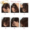 WIGSIN Clip In Air Bangs Hair Extensions Synthetic Straight Hairpiece Wig For Women Daily Use Hair Accessories.