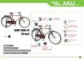 AKIJ BICYCLE AKIJ STEEL 1-SPEED BIJOY S/B RB COLOR heavy duty cycle. 