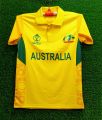 Sport The Australia World Cup Jersey - Polo Jersey - Australia Cricket Jersey - Support Your Team In Style 2024 New Jersey. 