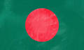 Bangladesh National Flag 3 Feet By 2 Feet - Sticky Notes. 