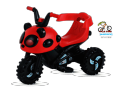 RFL Jim & Jolly Rechargeable Pikko Tricycle For Baby & Kids Bike With Music & Light Prince Cycle Store. 