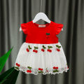 Baby Summer Embroidery Dress. 