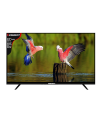 24” Basic LED TV, Single Glass. 
