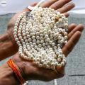 Jadroo Exclusive Pearl Necklace. 