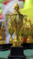 Gold Color Cricket & Football 8 Inch Mini Trophy - Cricket mini trophy - Football mini trophy - Mini trophy.