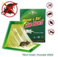 China Rat Glue Trap Mouse & Rat Glue Trap -1 Piece.