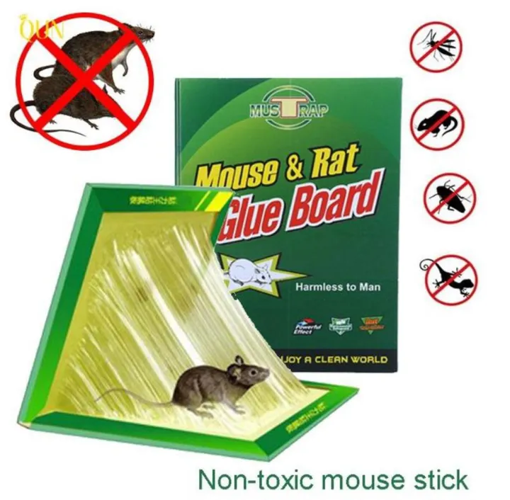 China%20Rat%20Glue%20Trap%20Mouse%20&%20Rat%20Glue%20Trap%20-1%20Piece%20-%20Image%203