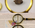 60mm/70mm/80mm 10X Handheld Magnifier Reading Magnifying Glass High Clarity Loupe For Jewelry Identification Newspaper Book Maps.