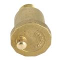 Brass Automatic Air Vent Valve 3/4 inch Male Thread for Solar Water.