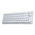 GamaKay K66 65% USB RGB Mechanical Keyboard 66 Keys Hot Swappable Translucent Glass Base Gateron Switch ABS Two-color Keycap. 