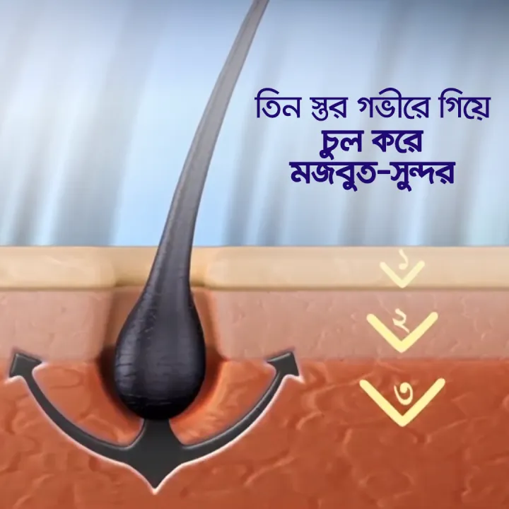 Parachute%20Hair%20Oil%20Advansed%20Enriched%20Coconut%20275ml%20-%20Image%205