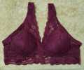 Elegant Lace Push-Up Bras Comfortable Daily Wear for Women. 