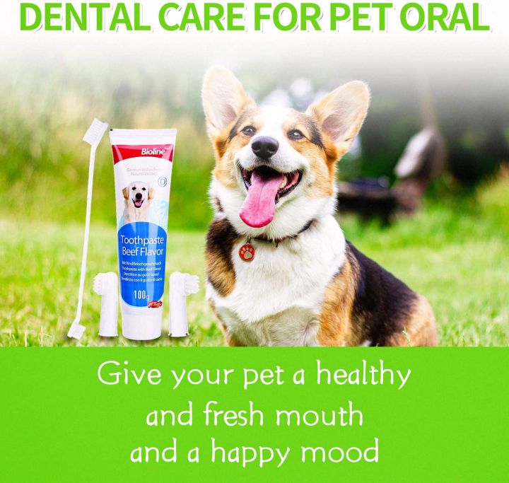 Bioline%20Dental%20Kit%20for%20Dogs%20Beef/Orange%20Flavor%20Toothpaste%20&%20Toothbrush%20Pet%20Oral%20Teeth%20Cleaning%20Set%20Double%20-%20Image%202