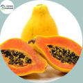 Sweet Yellow Gold Papaya Seeds - 10+ Pcs Seeds.