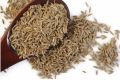 Cumin Seeds (Jeera) Premium (Indian)- 100gm. 