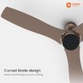 Orient Aeon BLDC PRO Motor 48" Ceiling Fan with Remote (Tangerine Brown).