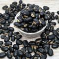 Pahari Alkushi Seeds/ Alkushi Seed - 500 gm. 