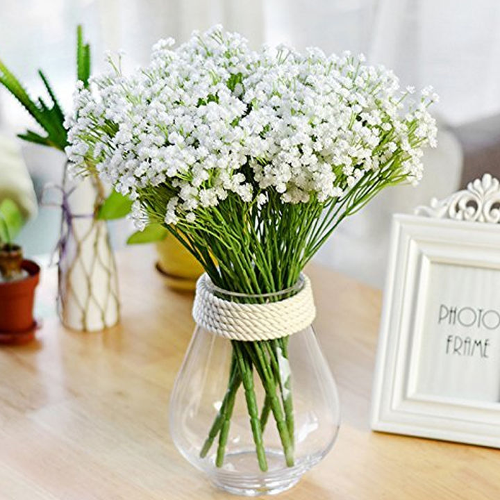 Gypsy%20Flower%20Seed%20100pcs%20-%20%E0%A6%9C%E0%A6%BF%E0%A6%AA%E0%A6%B8%E0%A6%BF%20%E0%A6%AB%E0%A7%81%E0%A6%B2%E0%A7%87%E0%A6%B0%20%E0%A6%AC%E0%A7%80%E0%A6%9C%20-%20Image%202