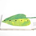 The Very Hungry Caterpillar Eric Carle Board book. 