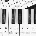 Piano Stickers Music Sheet Keyboard PVC Black + White Numbers Notes for Children Beginners. 
