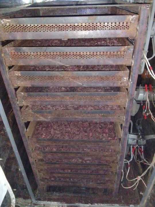 Beetroot%20Powder%20Bitrut%20Gura%20-%20100gm%20-%20Image%202