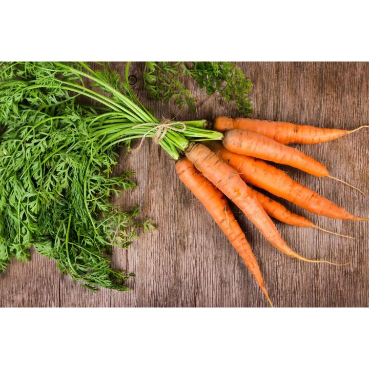 Carrot Seed 100 pcs / গাজর বীজ - ১০০ টি