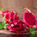Dragon Fruits Hybrid Seeds 15 Pcs - CityBD Mart Fruit seeds - ড্রাগন ফলের বীজ. 