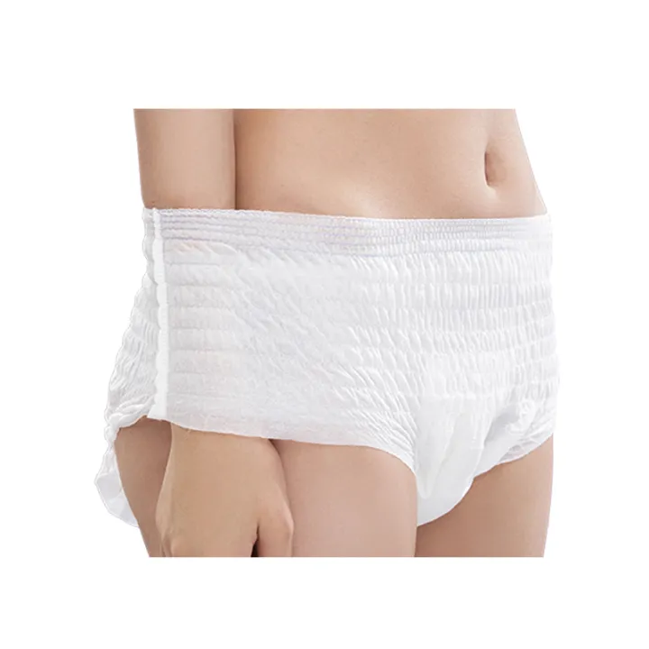 Women's%20Sanitary%20Pads%20Disposable%20Anti-Leak%20Menstrual%20Pants%20Sanitary%20Napkin%20Women%E2%80%99s%20Underwear%20-%205pcs%20-%20Image%204