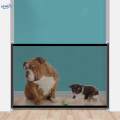 Portable Foldable Dog Gate Guard Enclosure Easily Install Lightweight Sturdy Size S. 