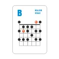 Guitar Chord and Scale Learning Cards 49Pcs Guitar Flash Cards Guitar Chord Cards for Acoustic and Electric for Learn Practice Teach. 