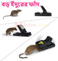 Mouse Killer Trap (5×3×3 inches). 