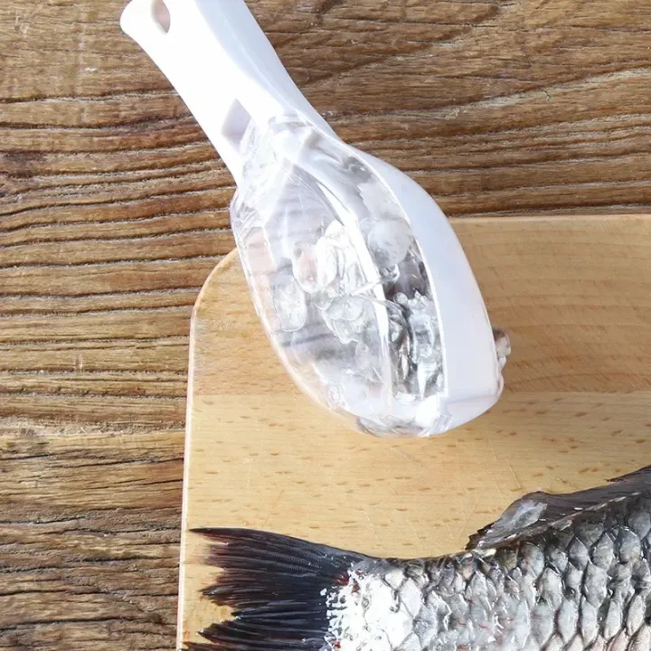 1%20pisFish%20Skin%20Brush%20Scraping%20Kitchen%20Fish%20Scale%20Cleaner%20Fast%20Remove%20Fish%20Knife%20Cleaning%20Peeler%20Scaler%20Scraper%20Kitchen%20Tool_Jess%20Gadget%20-%20Image%205