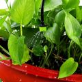 BRADOO-100Pcs 1/4Inch Adjustable Micro-Type Drip Irrigation System Watering Sprinklers Anti-Clogging Emitter Garden Supplies.